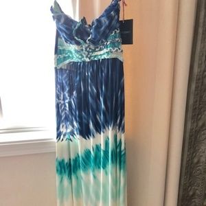 Cynthia Rowley Maxi Dress (Never worn, Brand new)